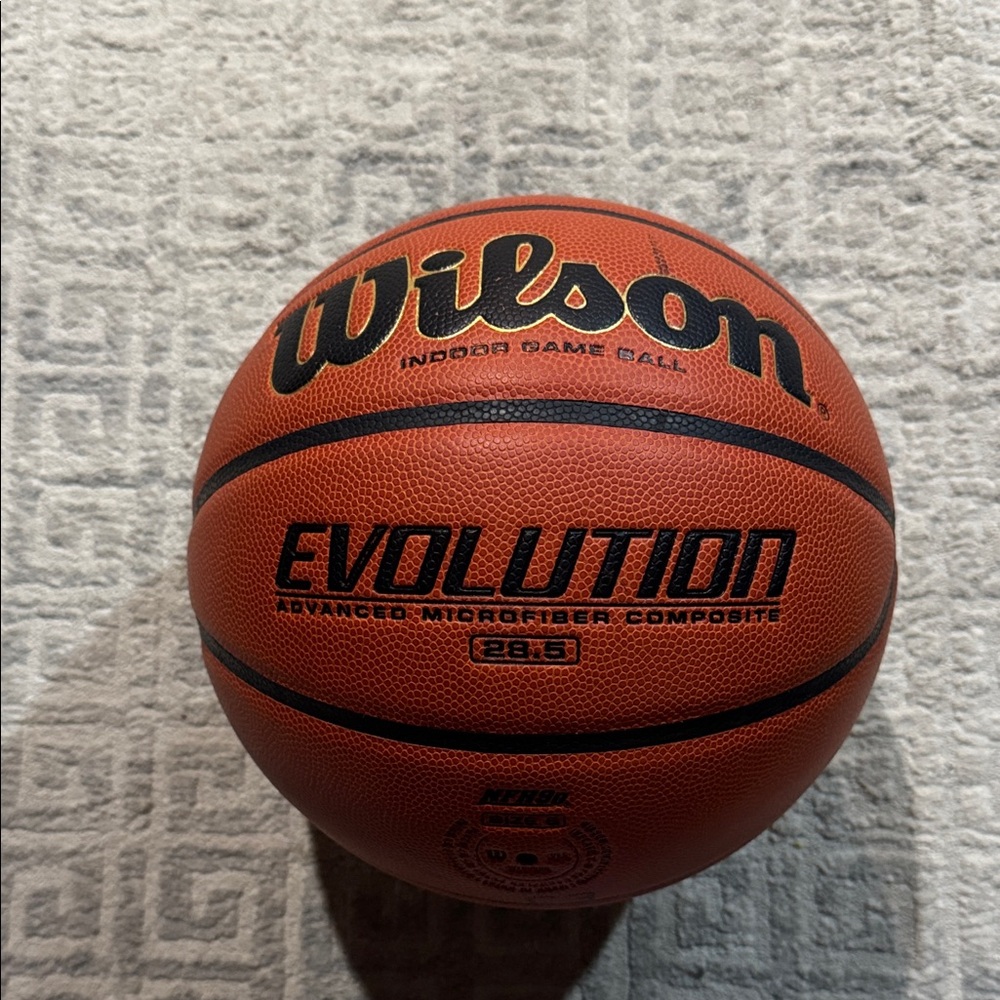 Wilson Evolution Indoor Game Ball - Brown